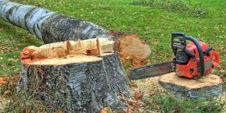 Best Tree Maintenance Programs  in Halesite, NY