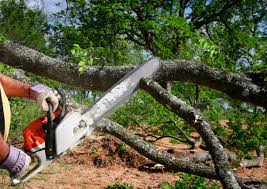 Best Lawn Renovation and Restoration  in Halesite, NY